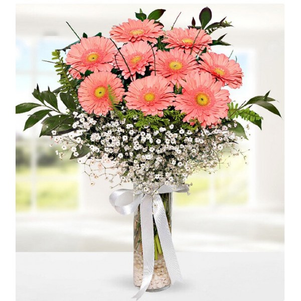 vazoda pembe gerbera